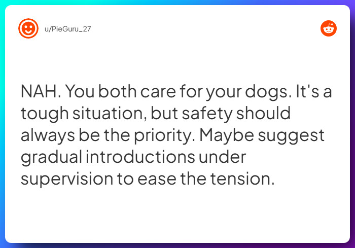 Comment from u/PieGuru_27