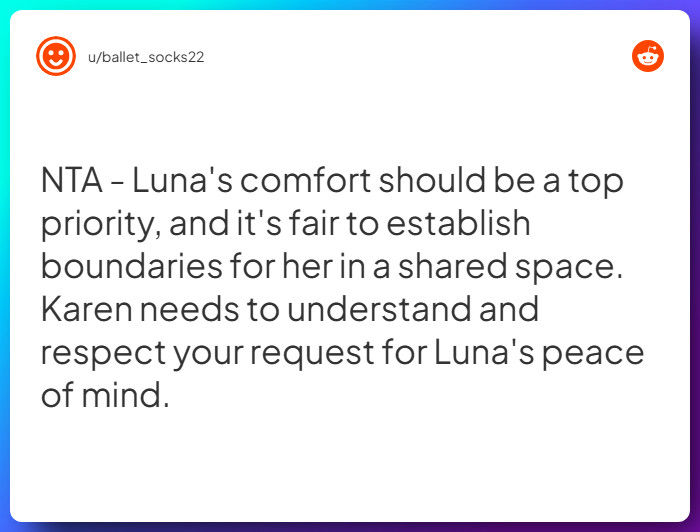 Comment from u/ballet_socks22