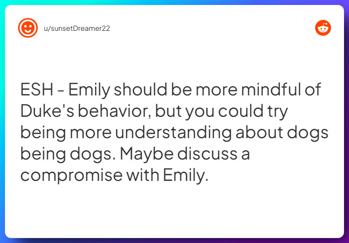 Comment from u/sunsetDreamer22