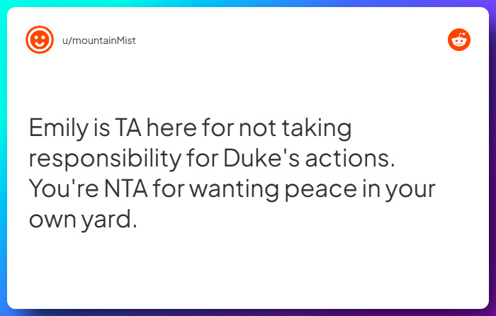 Comment from u/mountainMist