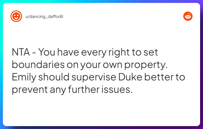 Comment from u/dancing_daffodil