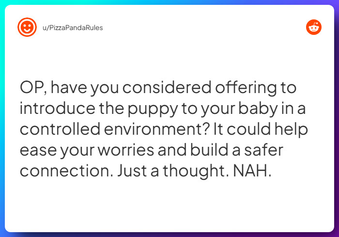 Comment from u/PizzaPandaRules