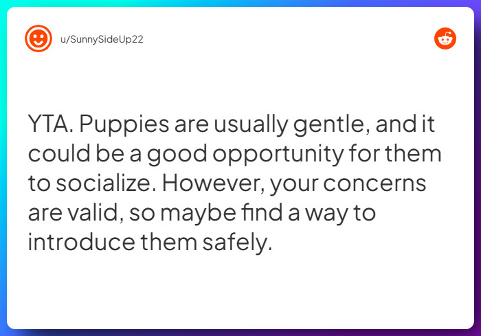 Comment from u/SunnySideUp22