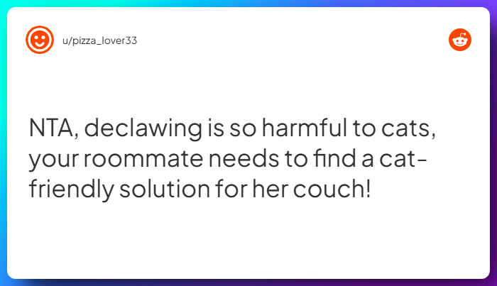 Comment from u/pizza_lover33