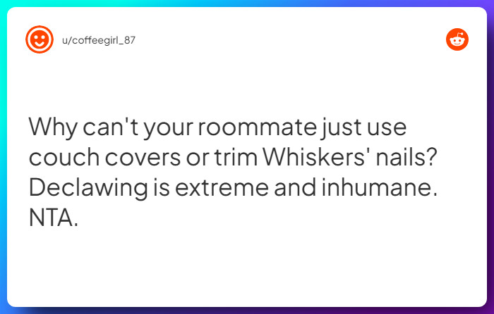 Comment from u/coffeegirl_87