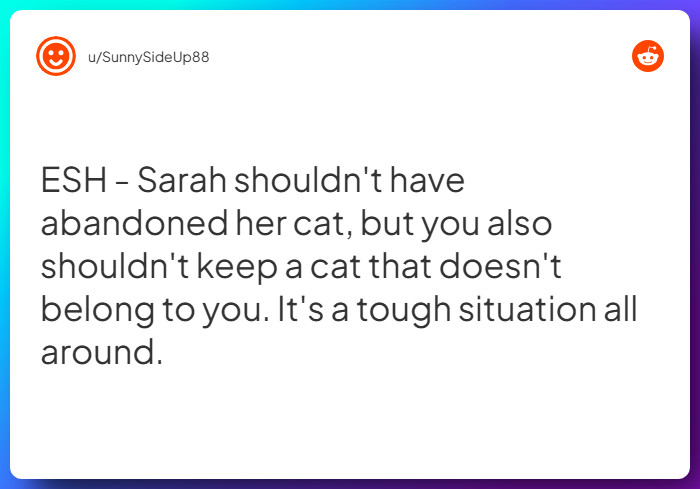 Comment from u/SunnySideUp88