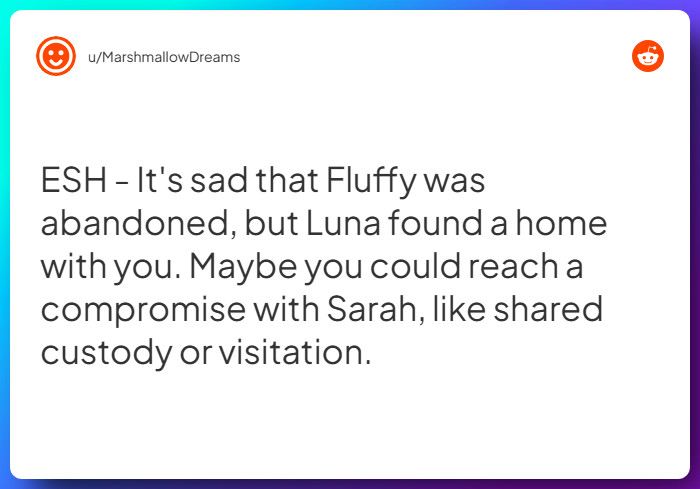 Comment from u/MarshmallowDreams