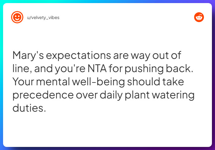 Comment from u/velvety_vibes