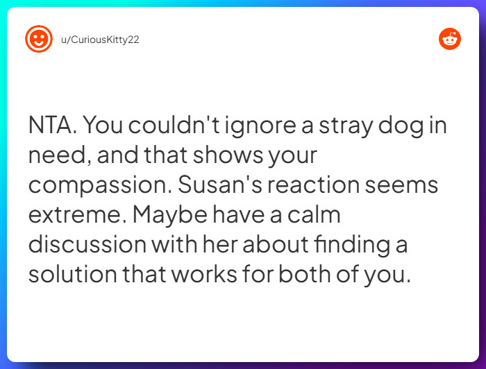 Comment from u/CuriousKitty22