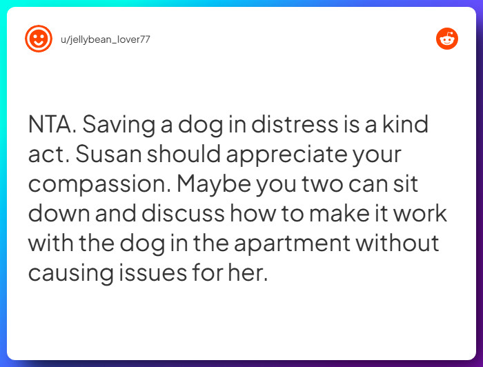 Comment from u/jellybean_lover77