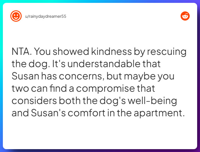 Comment from u/rainydaydreamer55