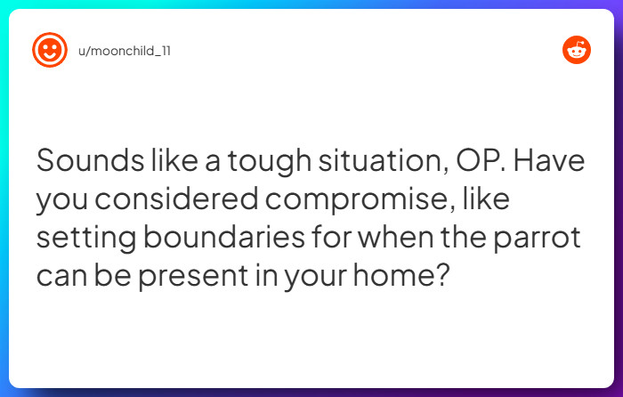 Comment from u/moonchild_11