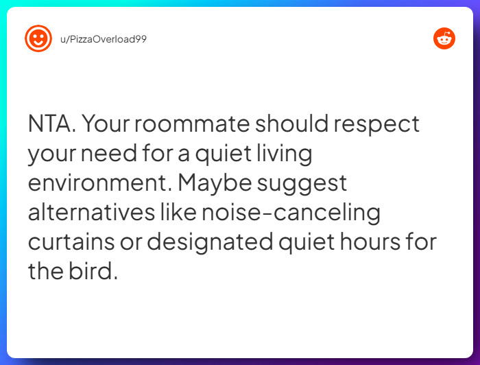 Comment from u/PizzaOverload99