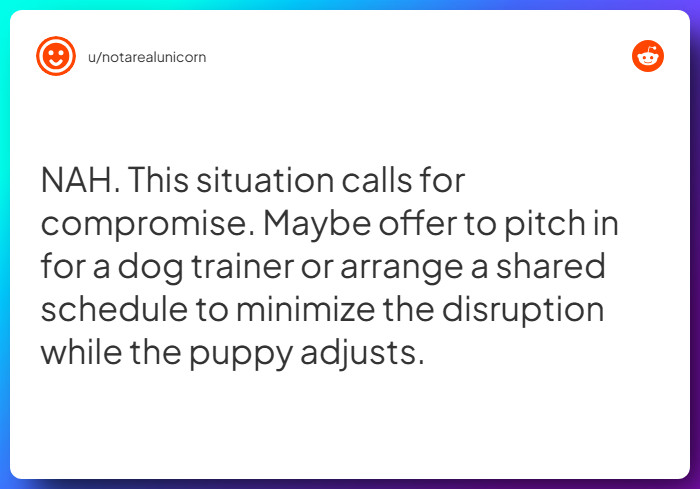 Comment from u/notarealunicorn