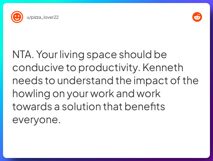 Comment from u/pizza_lover22