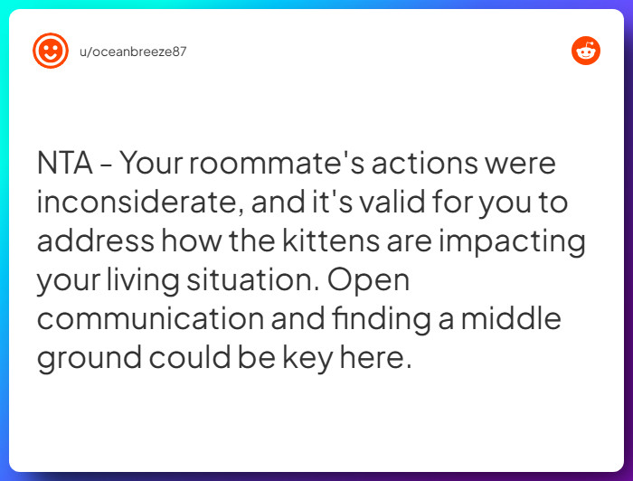 Comment from u/oceanbreeze87