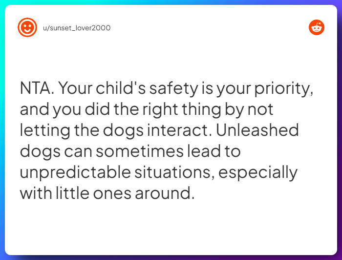 Comment from u/sunset_lover2000