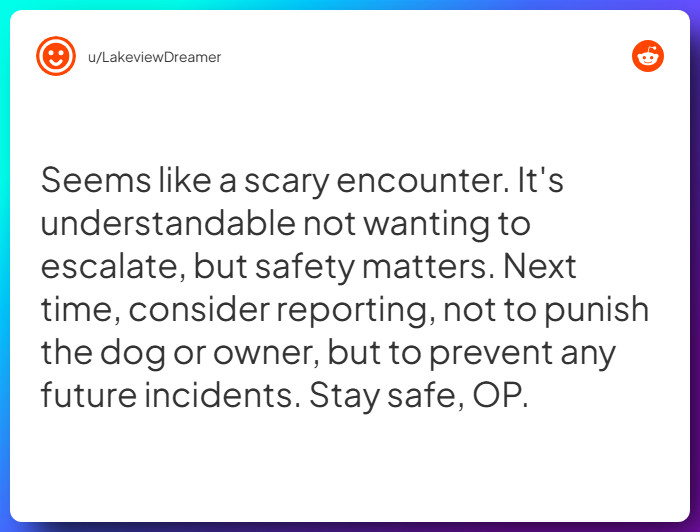 Comment from u/LakeviewDreamer