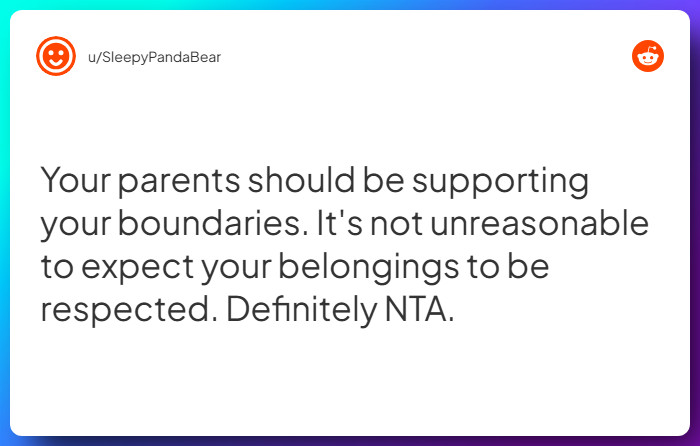 Comment from u/SleepyPandaBear