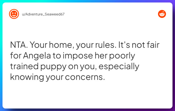 Comment from u/Adventure_Seaweed67