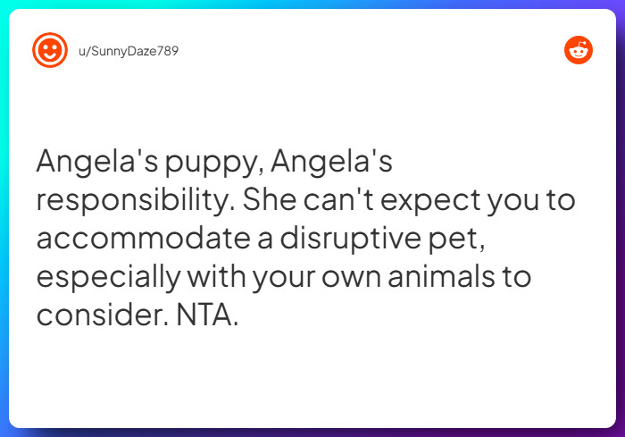 Comment from u/SunnyDaze789