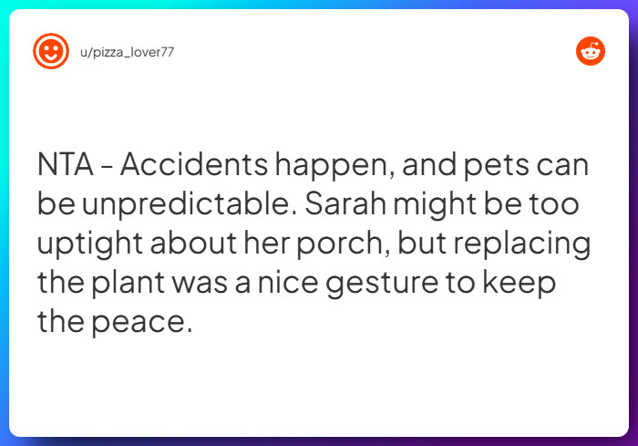 Comment from u/pizza_lover77