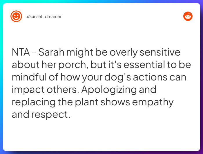 Comment from u/sunset_dreamer