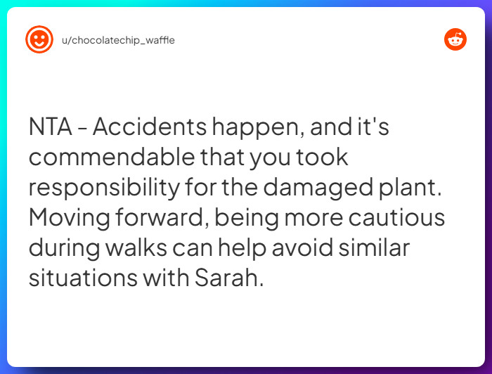 Comment from u/chocolatechip_waffle