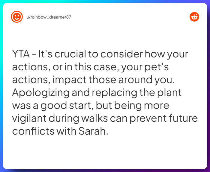 Comment from u/rainbow_dreamer87