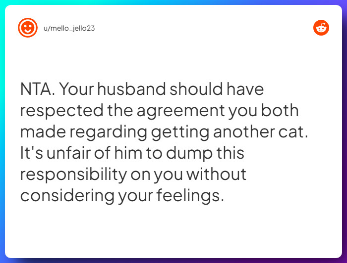 Comment from u/mello_jello23