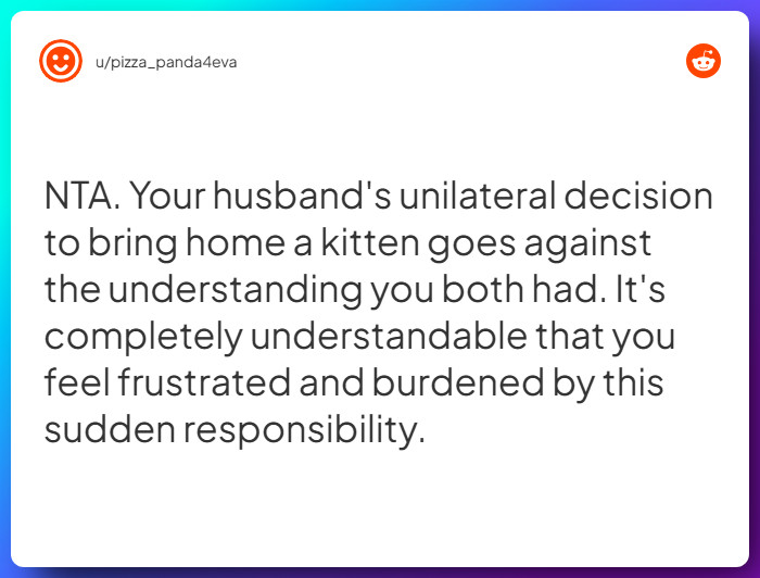 Comment from u/pizza_panda4eva