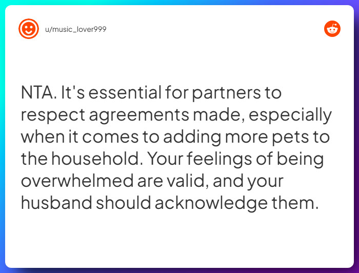 Comment from u/music_lover999