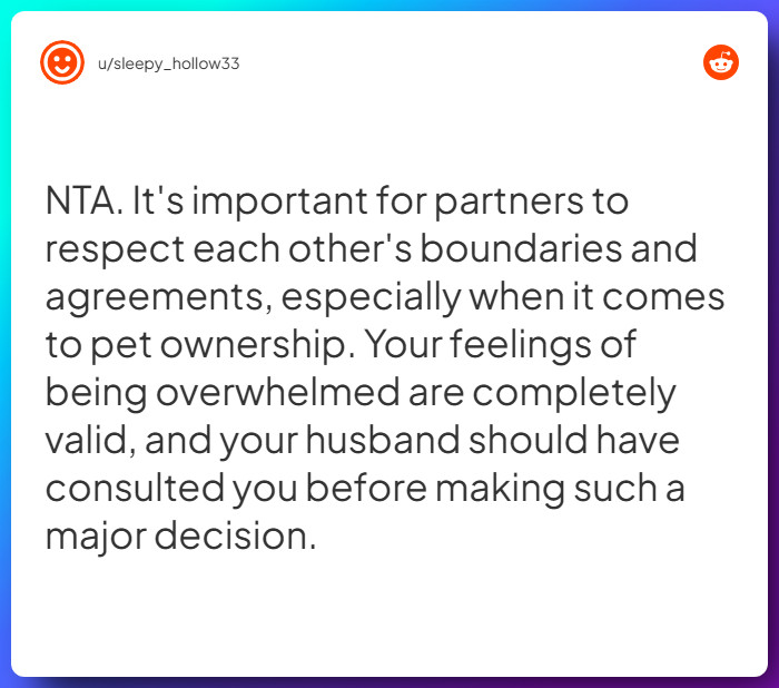 Comment from u/sleepy_hollow33