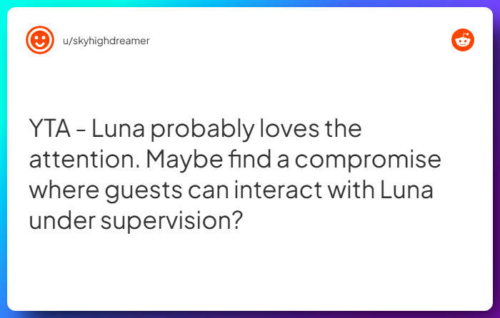Comment from u/skyhighdreamer