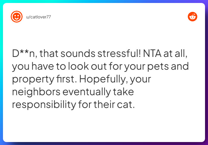 Comment from u/catlover77