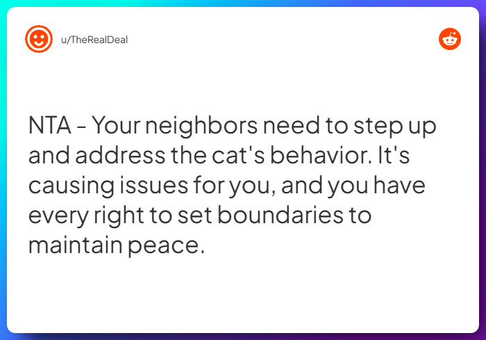 Comment from u/TheRealDeal