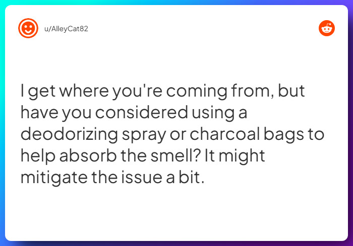 Comment from u/AlleyCat82