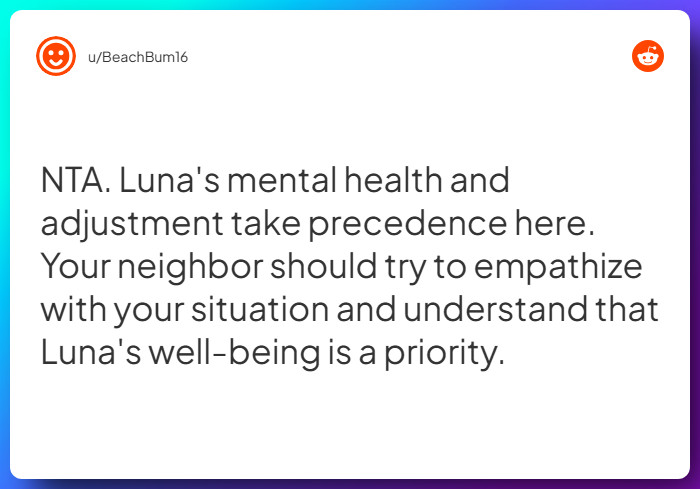 Comment from u/BeachBum16