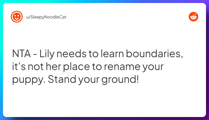 Comment from u/SleepyNoodleCat