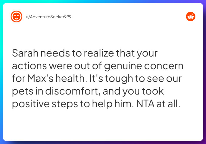 Comment from u/AdventureSeeker999