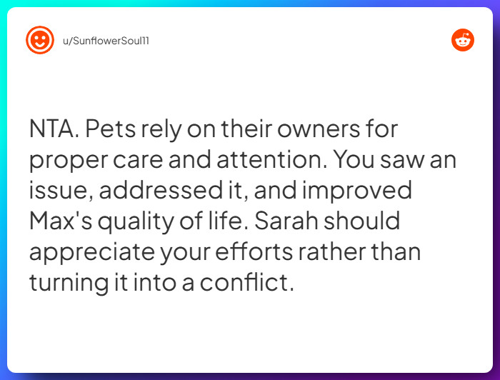 Comment from u/SunflowerSoul11