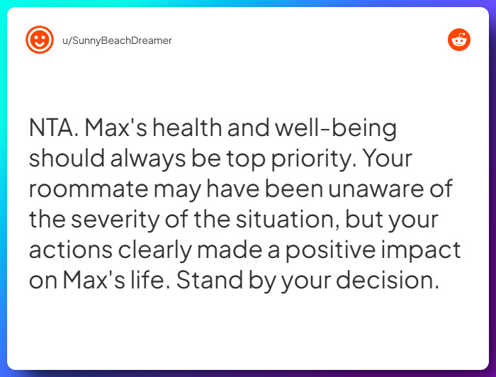 Comment from u/SunnyBeachDreamer