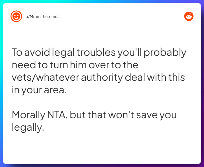 Comment from u/Mmm_hummus