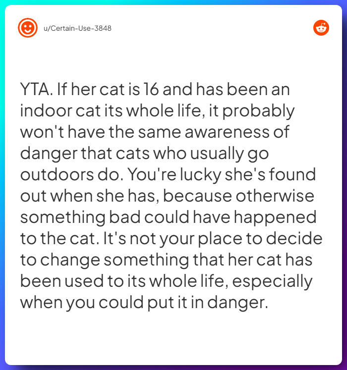 Comment from u/Certain-Use-3848