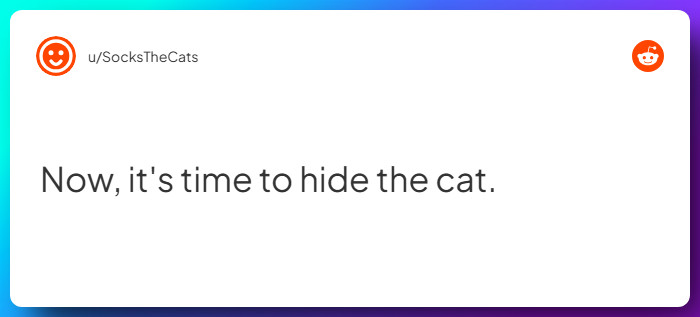 Comment from u/SocksTheCats