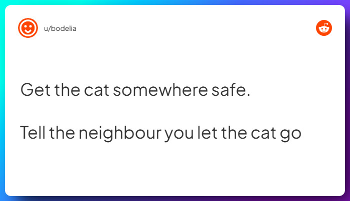 Comment from u/bodelia