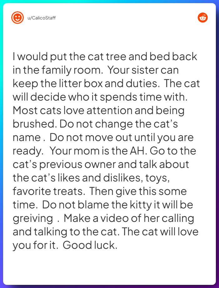 Comment from u/CalicoStaff