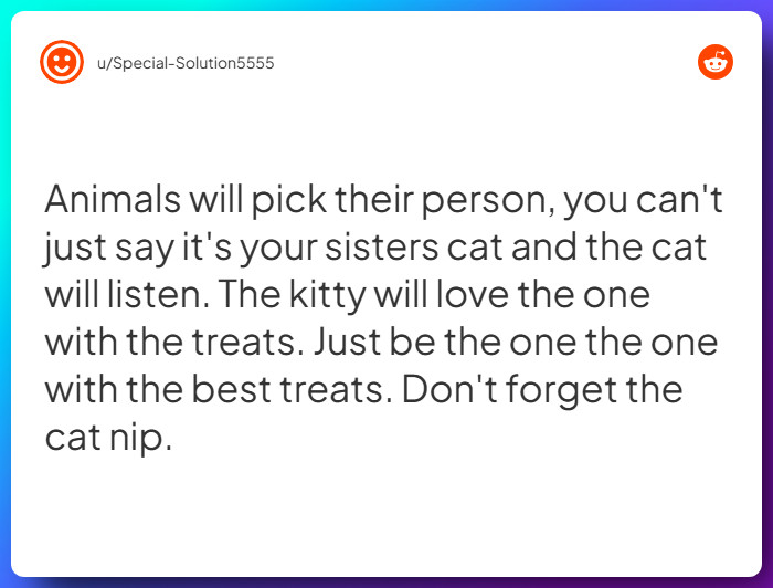 Comment from u/Special-Solution5555