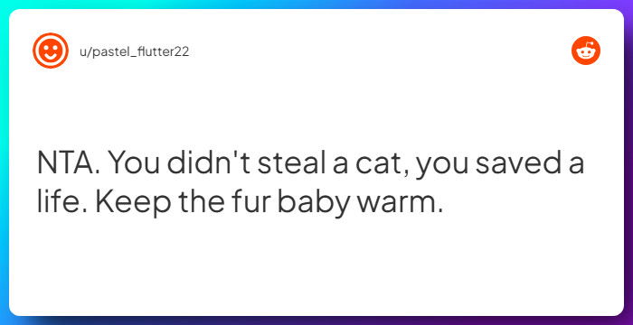 Comment from u/pastel_flutter22