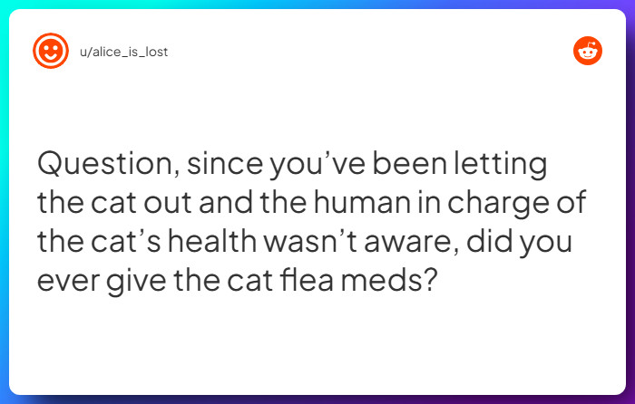 Comment from u/alice_is_lost